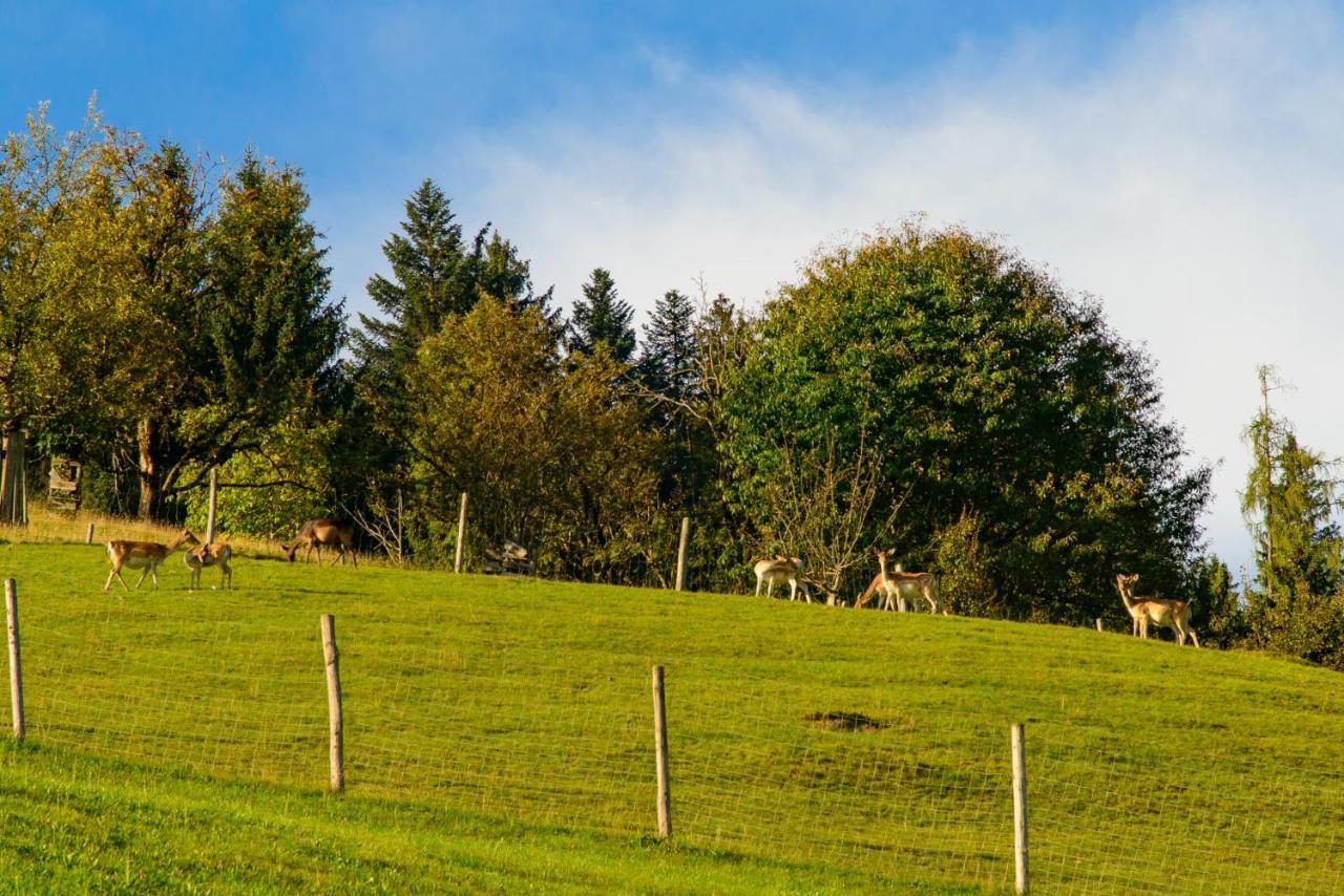 Schrahlehen Bed and Breakfast Wagrain Exteriör bild