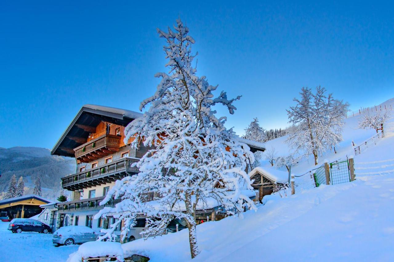 Schrahlehen Bed and Breakfast Wagrain Exteriör bild